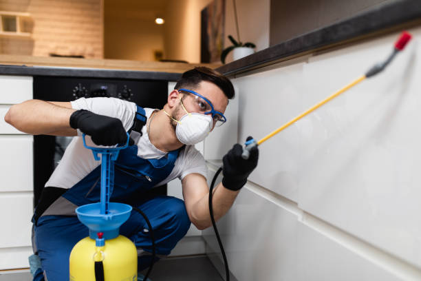 Trusted Southeast Arcadia, FL Pest Control Experts
