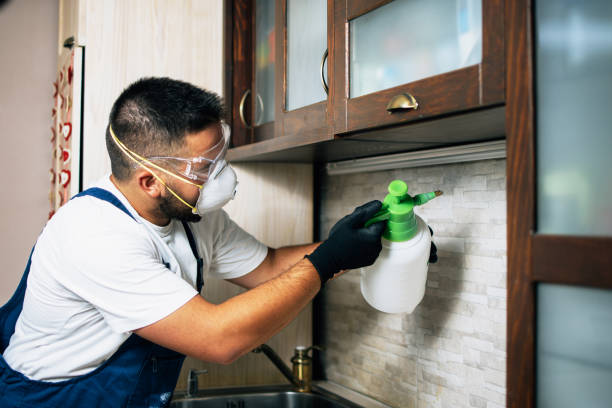 Flea Control Services in Southeast Arcadia, FL