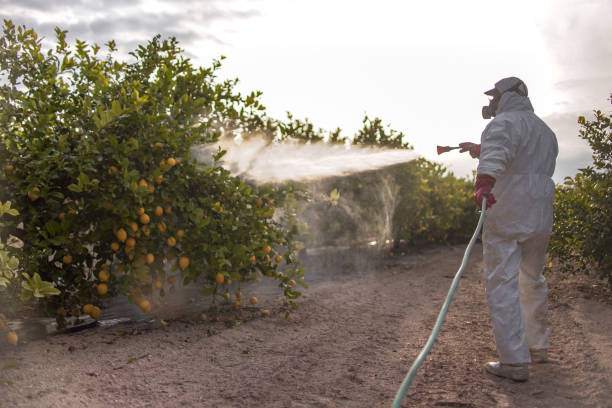  Southeast Arcadia, FL Pest Control Pros