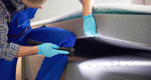 Best Termite Control Services  in Southeast Arcadia, FL
