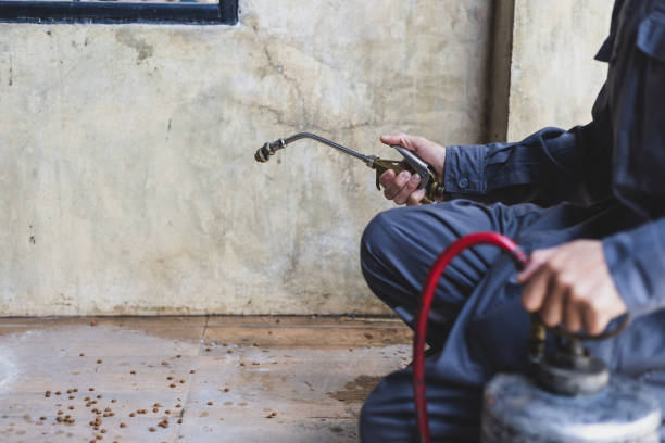 Best Local Pest Control Services  in Southeast Arcadia, FL